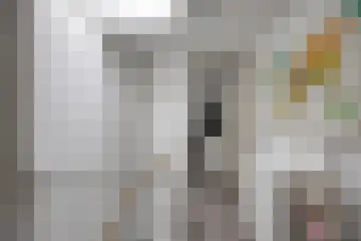 Heivlinder 24 Breda thumbnail 14