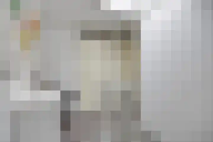 Heivlinder 24 Breda thumbnail 15