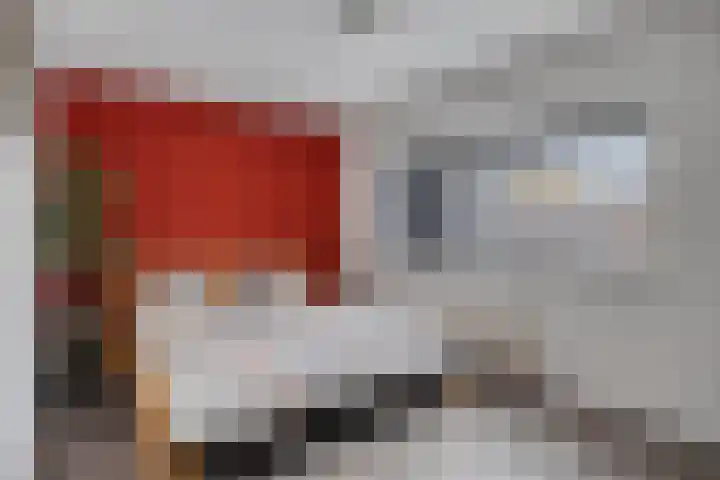 Heivlinder 24 Breda thumbnail 16