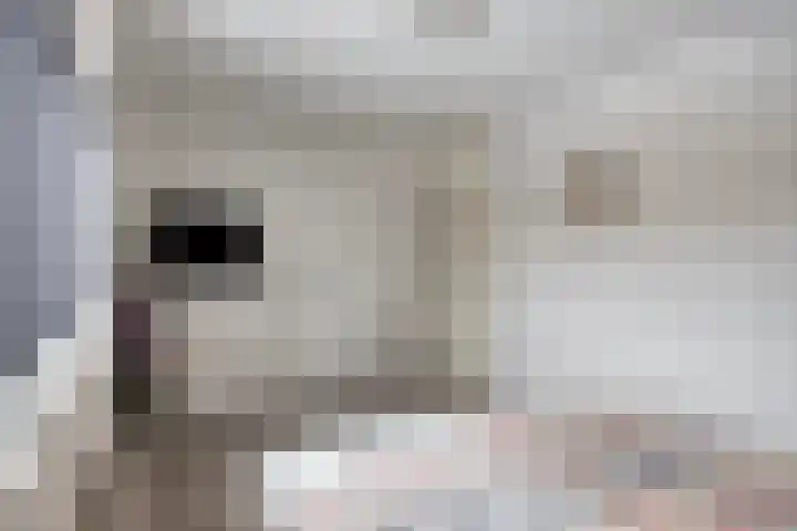 Heivlinder 24 Breda thumbnail 17