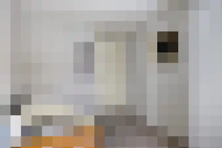 Heivlinder 24 Breda thumbnail 21