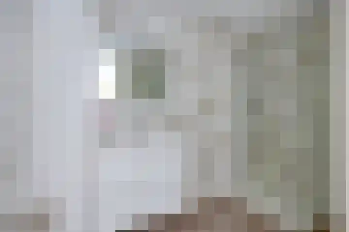 Heivlinder 24 Breda thumbnail 22