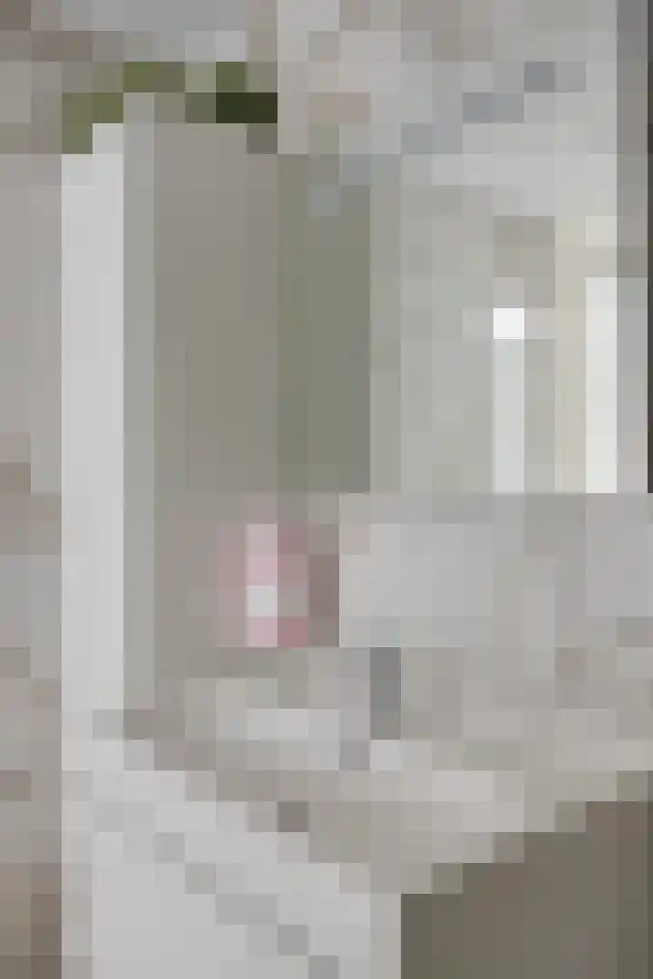 Heivlinder 24 Breda thumbnail 24