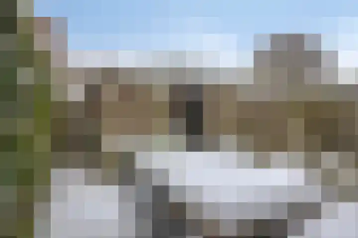 Heivlinder 24 Breda thumbnail 25