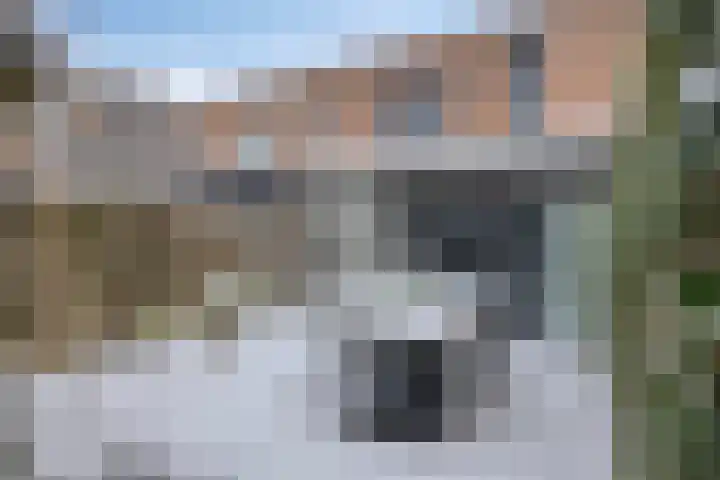 Heivlinder 24 Breda thumbnail 26