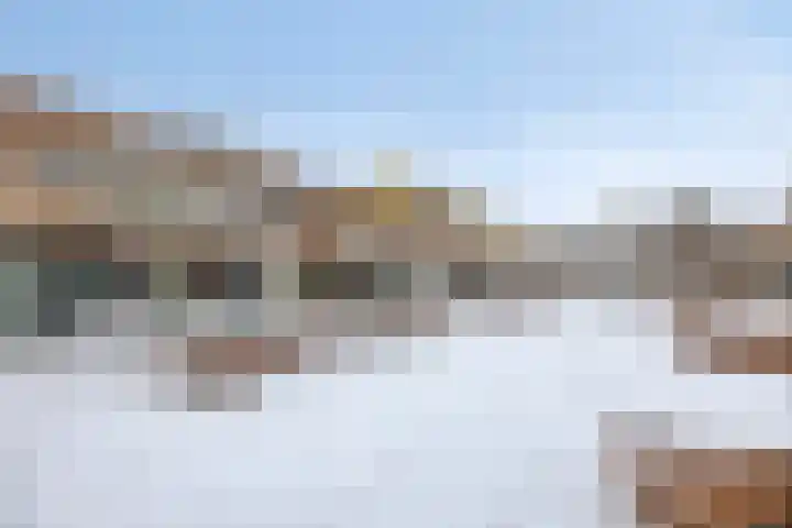 Heivlinder 24 Breda thumbnail 4