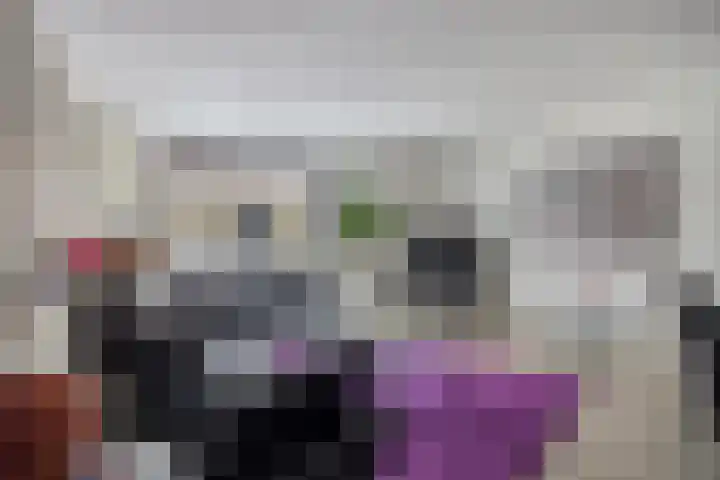 Heivlinder 24 Breda thumbnail 8