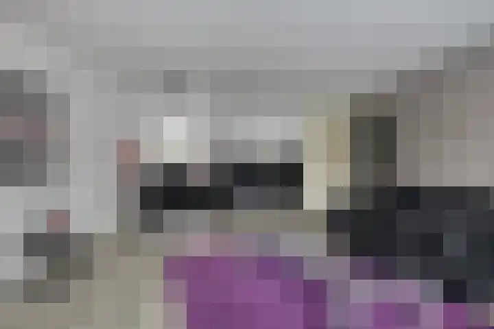 Heivlinder 24 Breda thumbnail 9