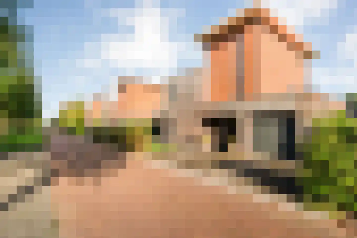 Heivlinder 4 Hoogeveen thumbnail 11