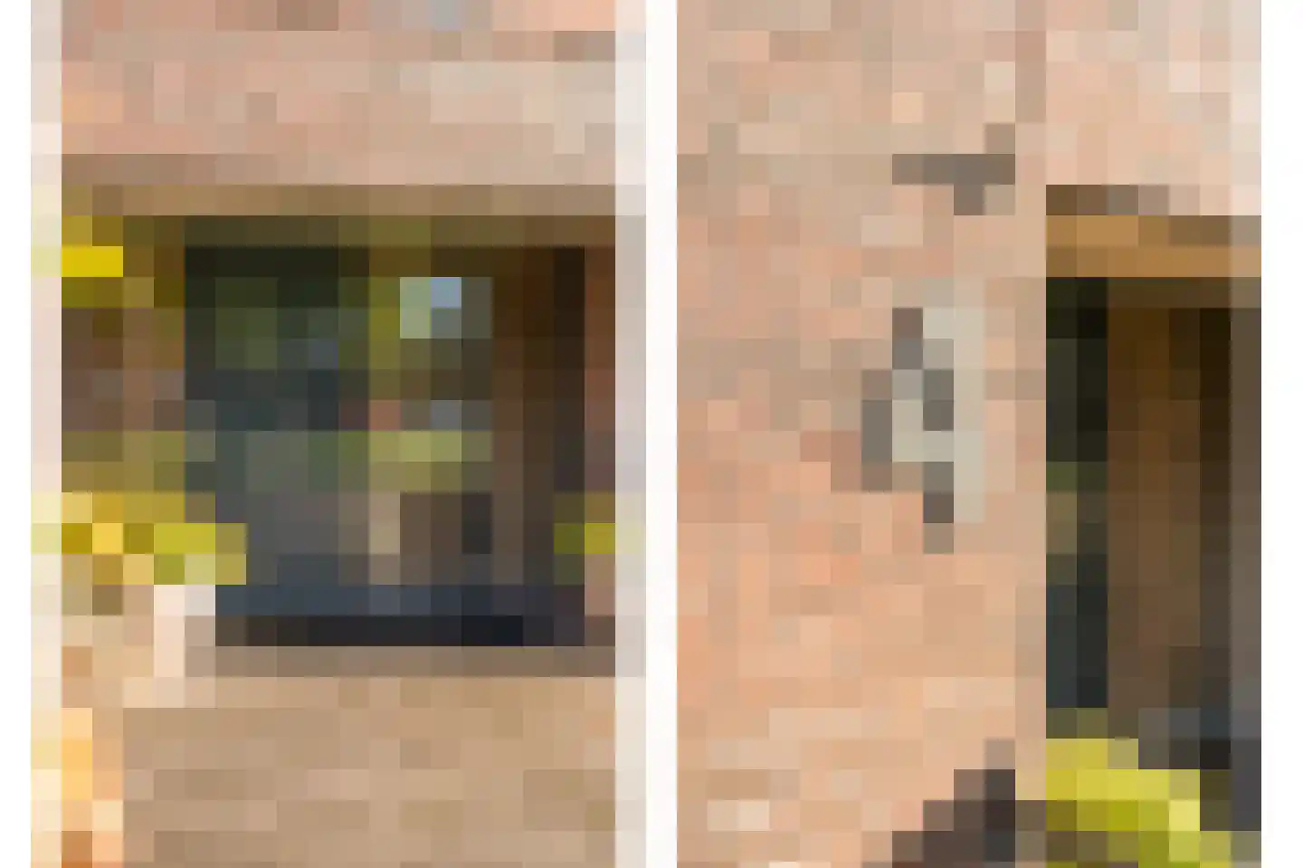 Heivlinder 4 Hoogeveen thumbnail 13