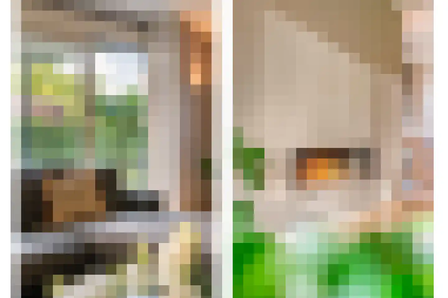 Heivlinder 4 Hoogeveen thumbnail 17