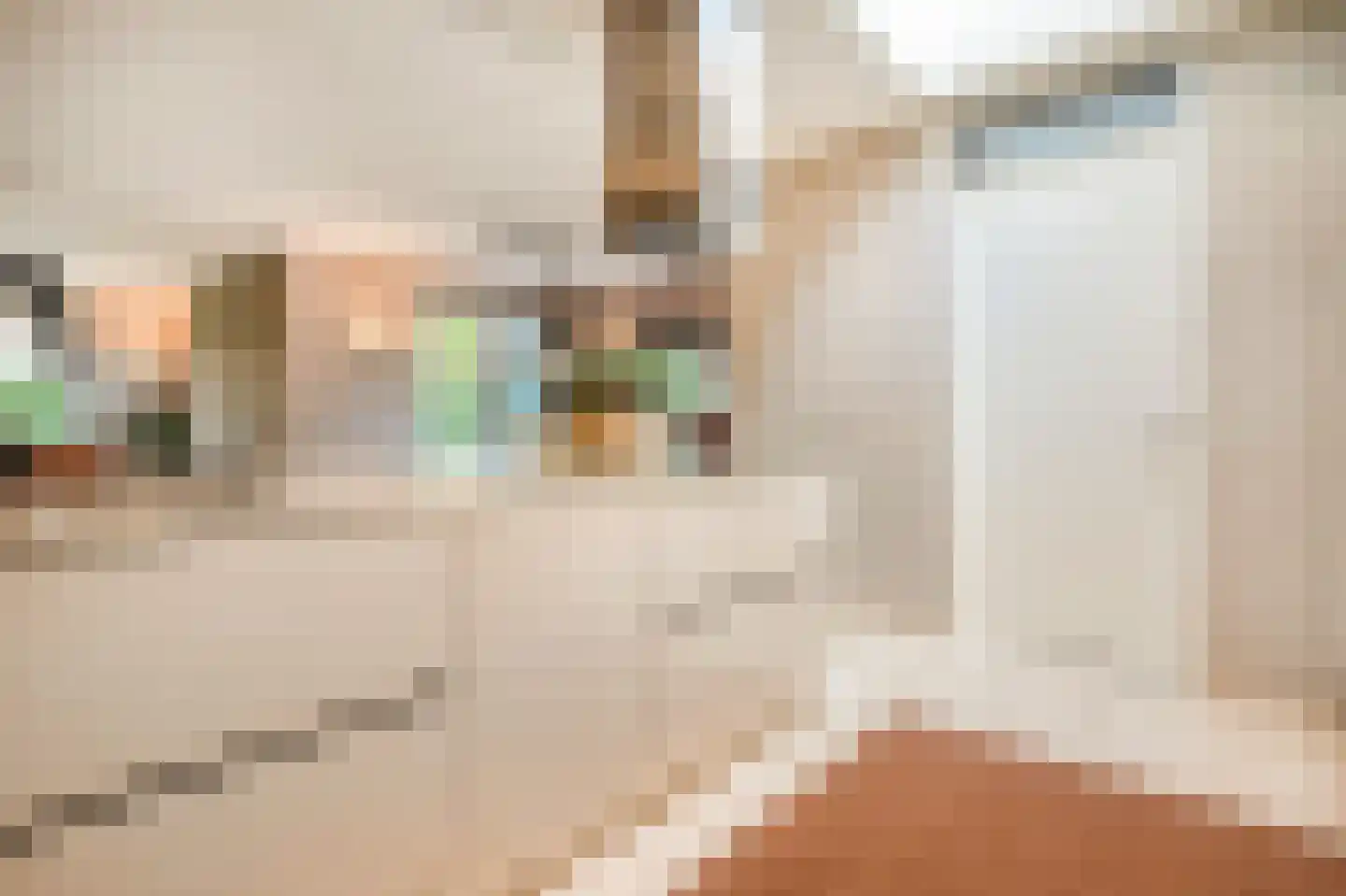 Heivlinder 4 Hoogeveen thumbnail 26