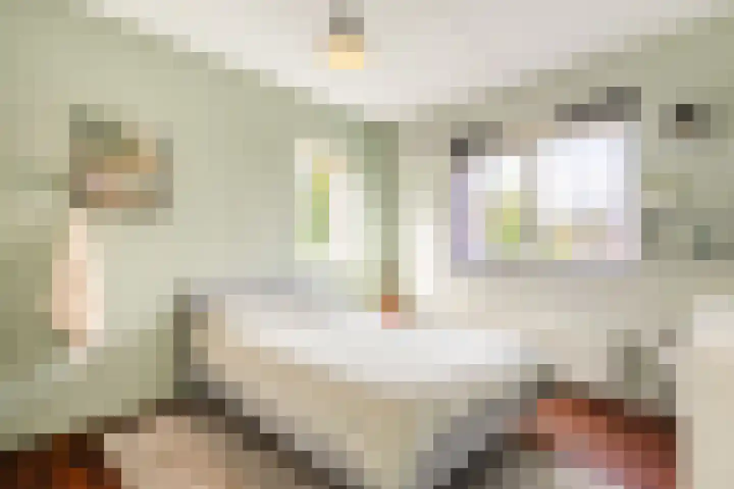 Heivlinder 4 Hoogeveen thumbnail 33