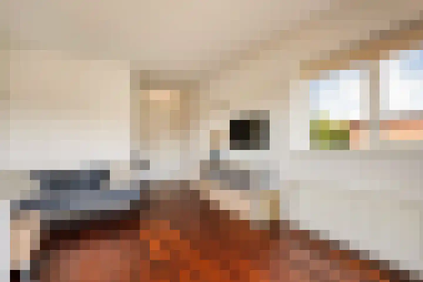 Heivlinder 4 Hoogeveen thumbnail 47