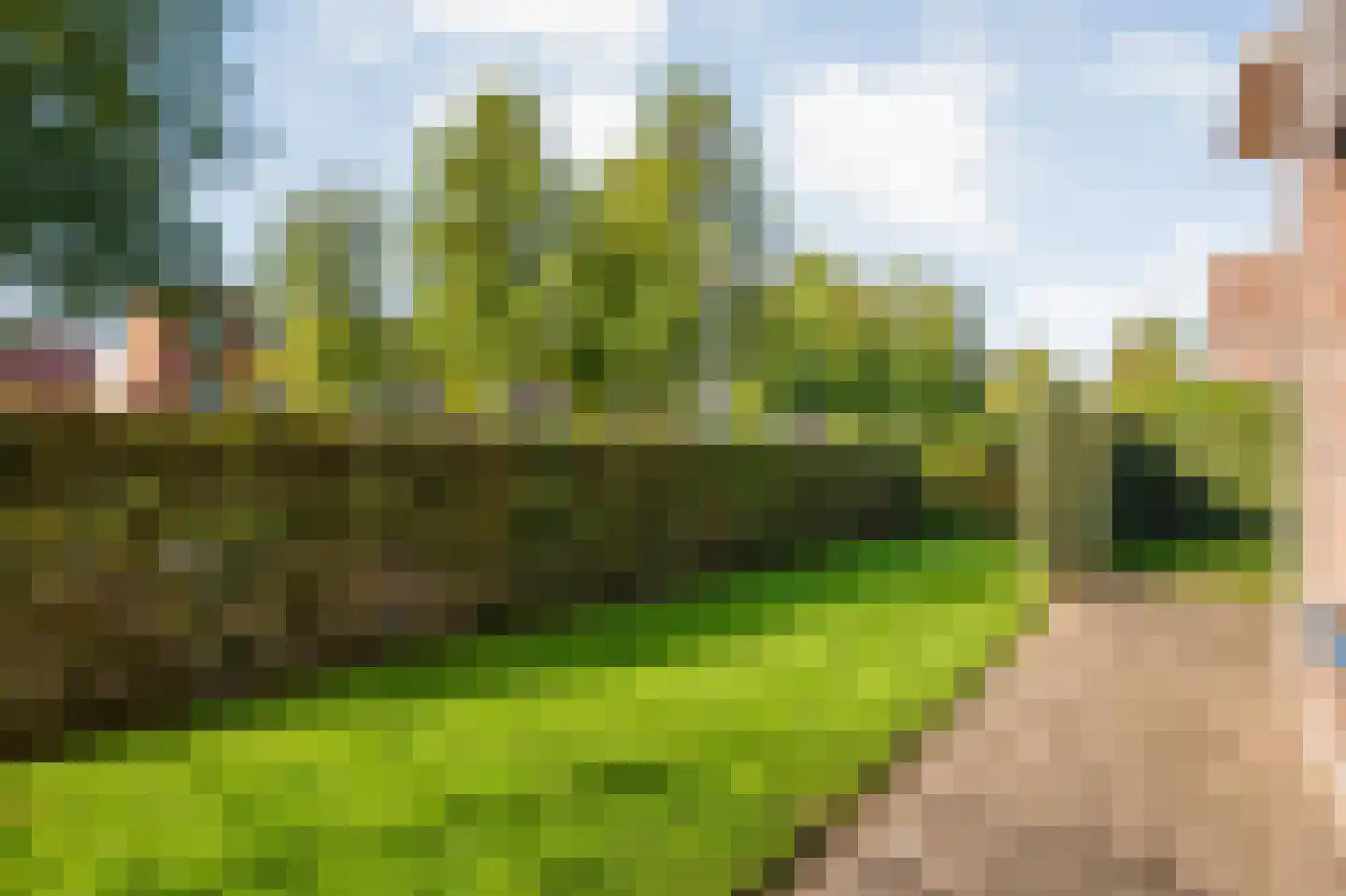 Heivlinder 4 Hoogeveen thumbnail 50
