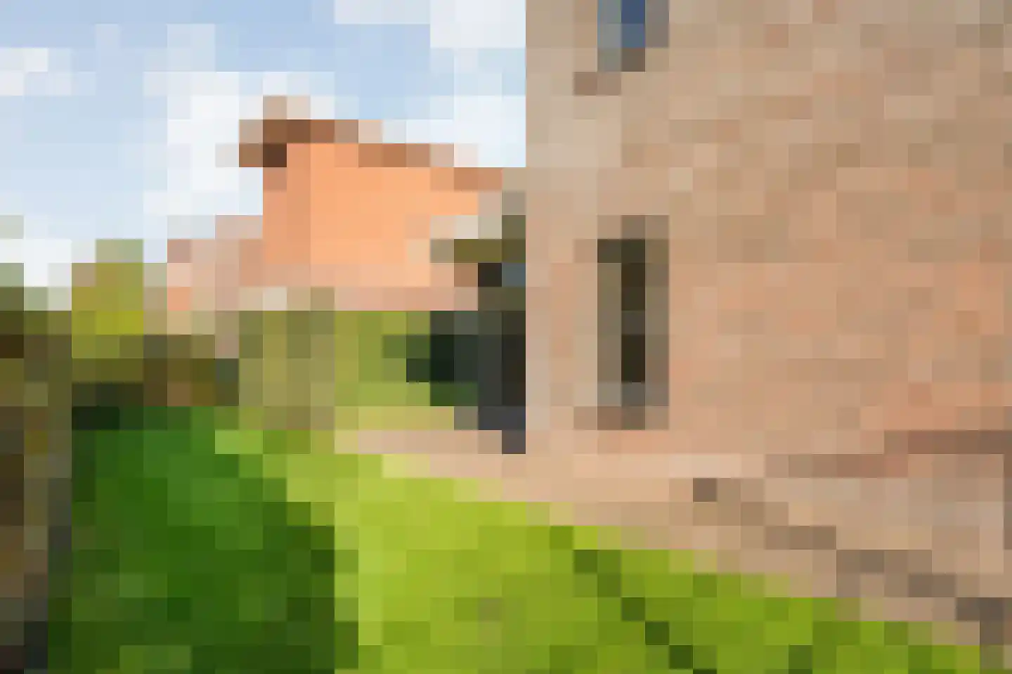 Heivlinder 4 Hoogeveen thumbnail 51