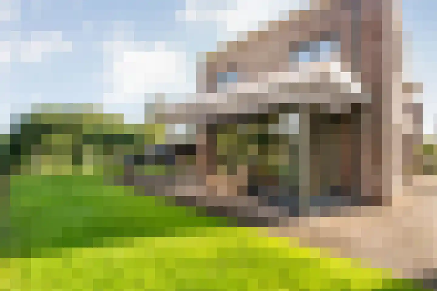 Heivlinder 4 Hoogeveen thumbnail 52