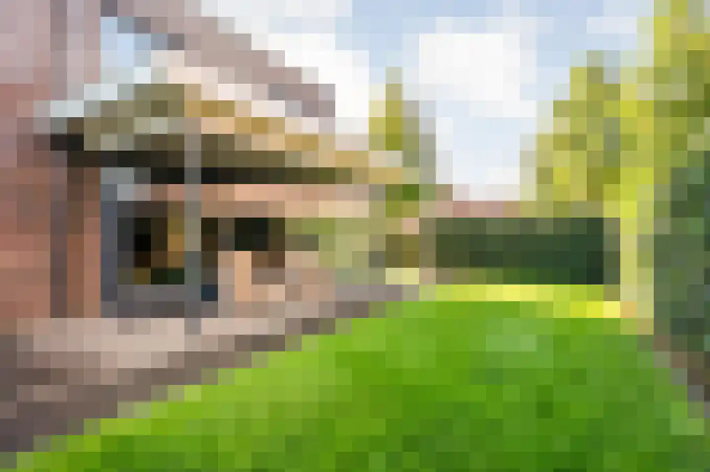 Heivlinder 4 Hoogeveen thumbnail 53