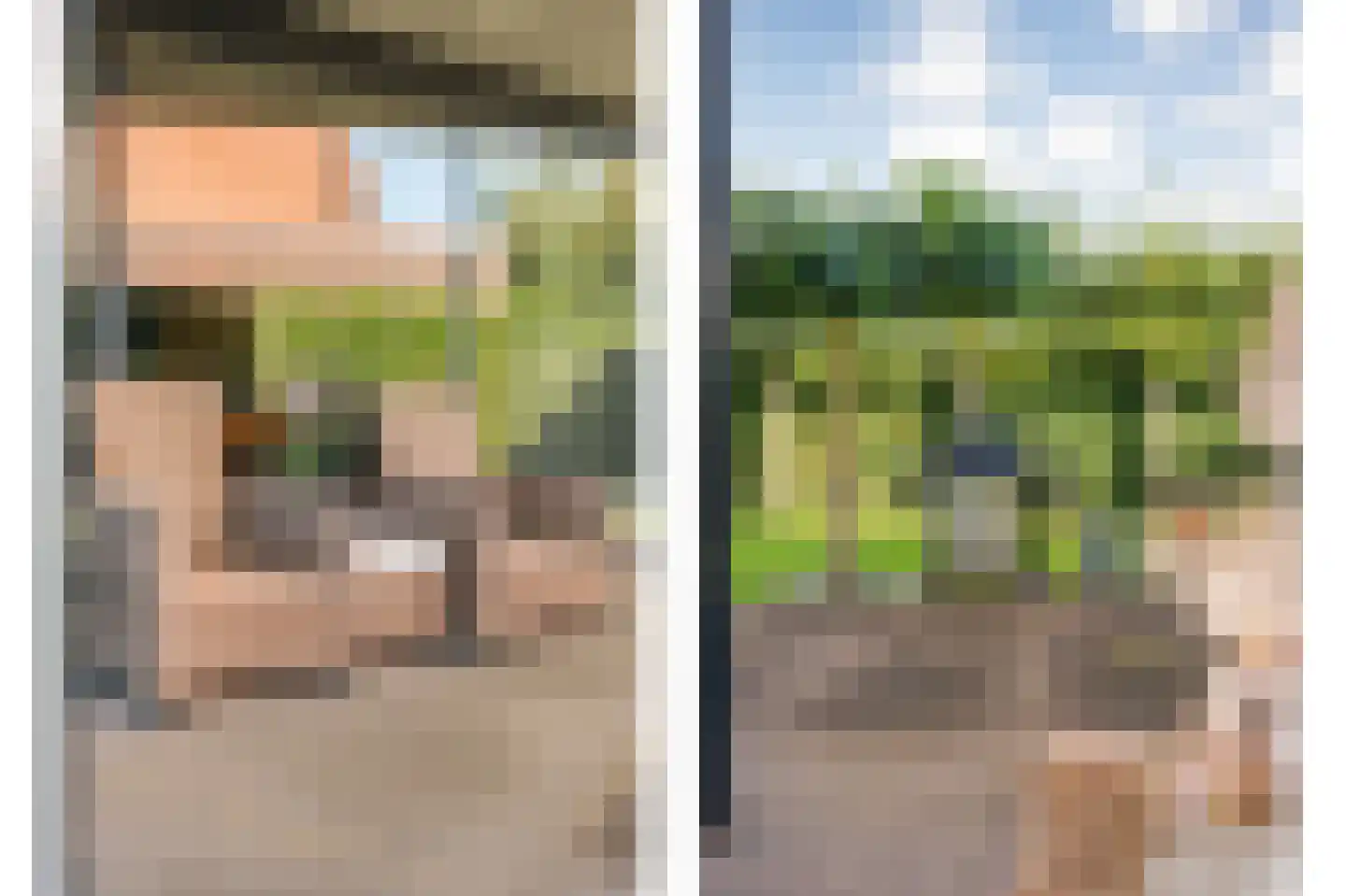 Heivlinder 4 Hoogeveen thumbnail 54