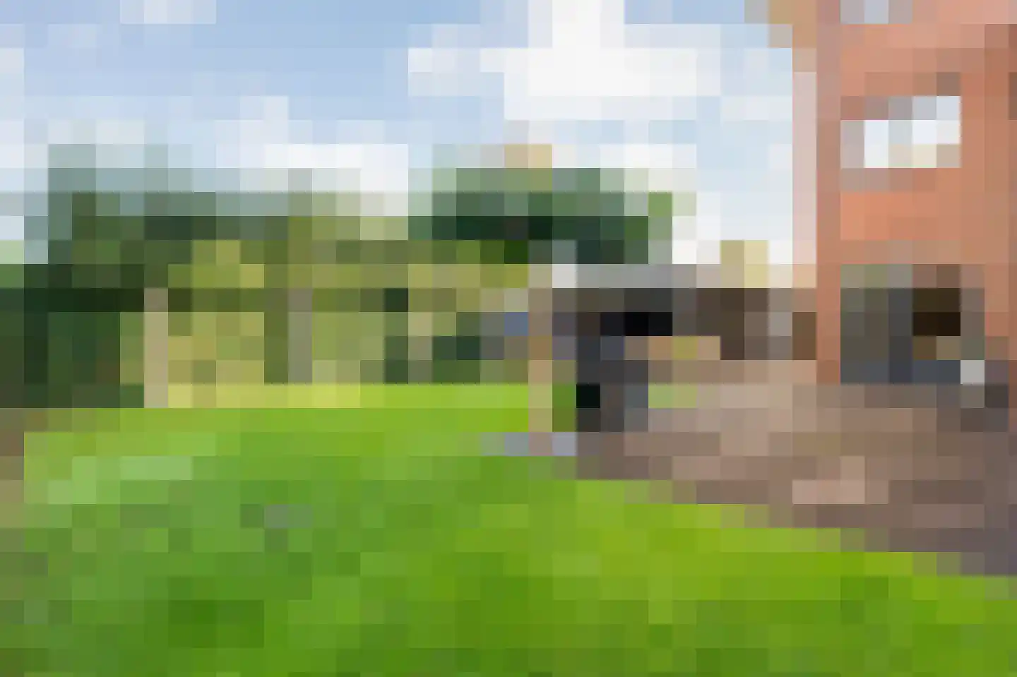 Heivlinder 4 Hoogeveen thumbnail 55