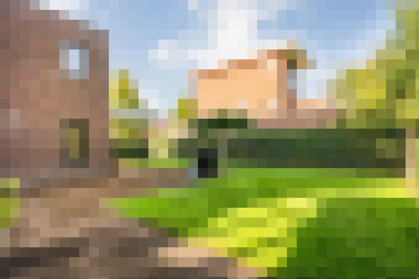 Heivlinder 4 Hoogeveen thumbnail 56