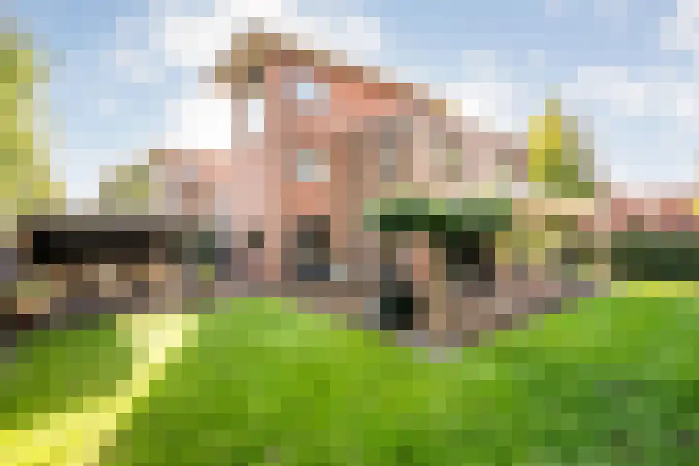 Heivlinder 4 Hoogeveen thumbnail 6