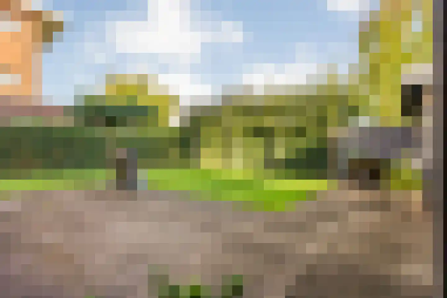 Heivlinder 4 Hoogeveen thumbnail 60