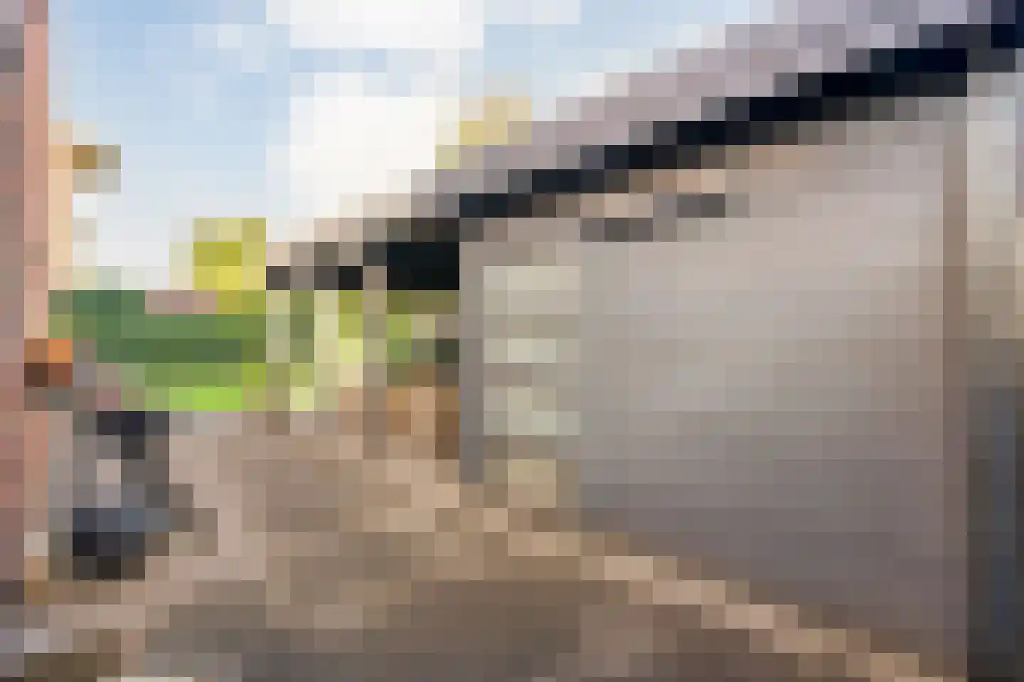 Heivlinder 4 Hoogeveen thumbnail 61