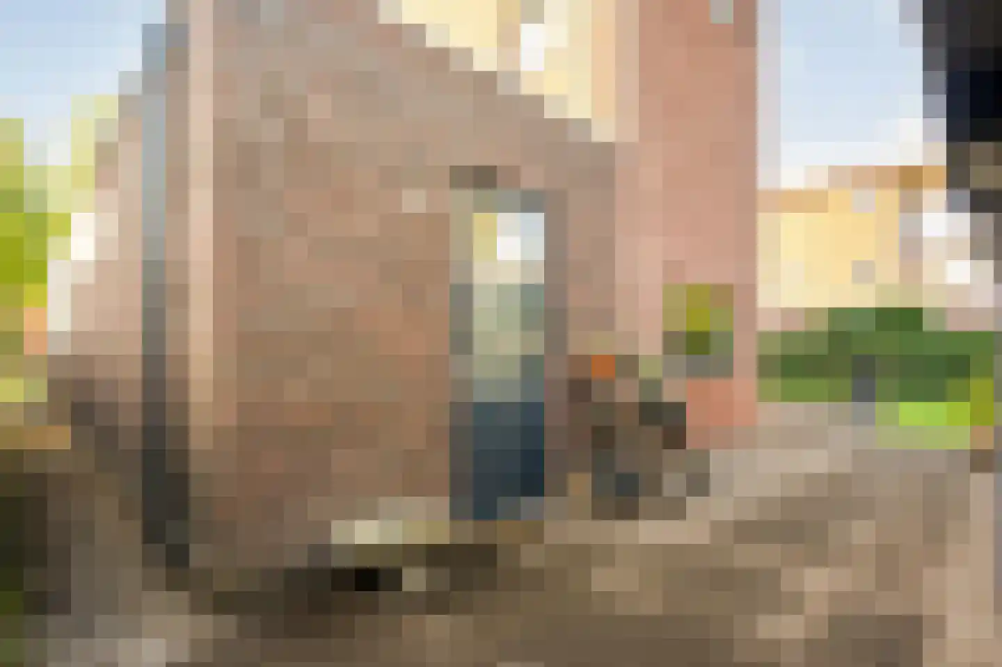 Heivlinder 4 Hoogeveen thumbnail 62
