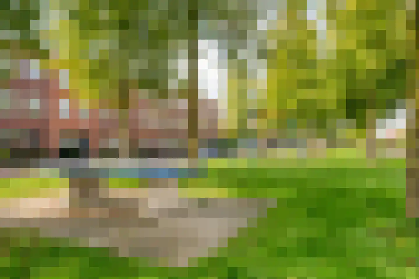 Heivlinder 4 Hoogeveen thumbnail 63