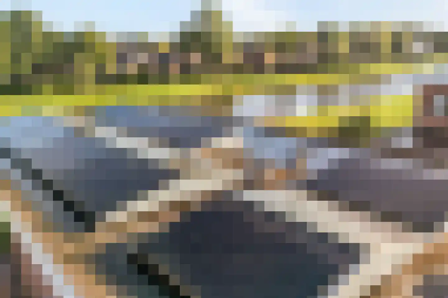 Heivlinder 4 Hoogeveen thumbnail 64