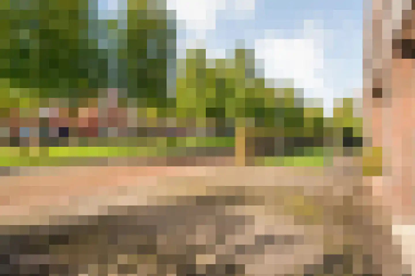 Heivlinder 4 Hoogeveen thumbnail 65