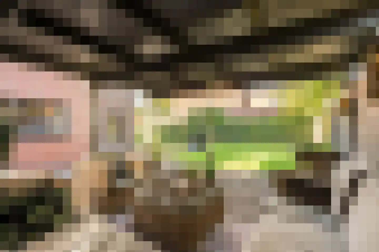 Heivlinder 4 Hoogeveen thumbnail 7