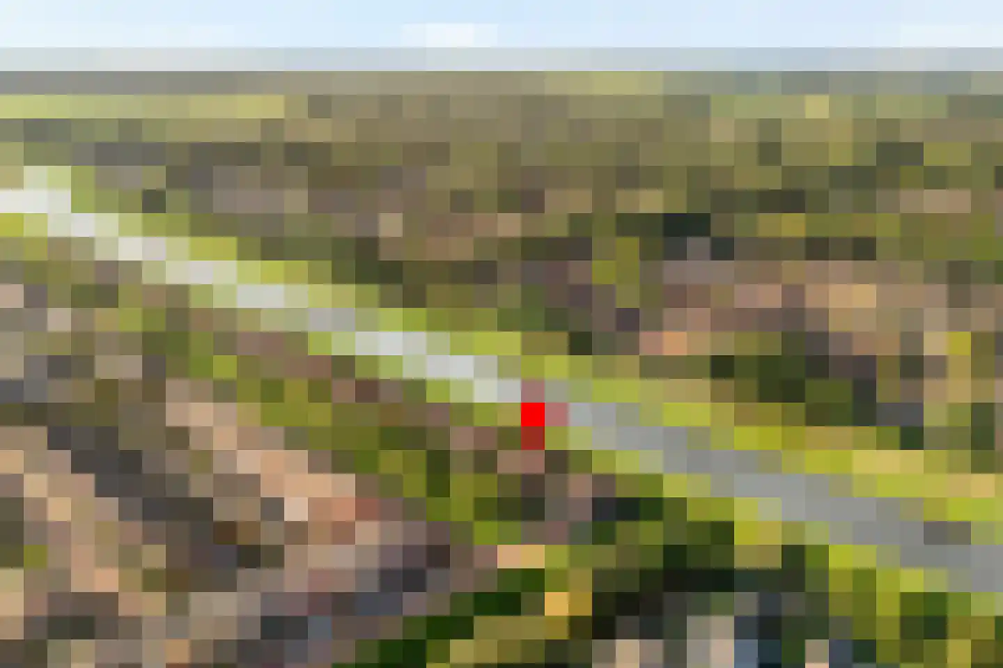 Heivlinder 4 Hoogeveen thumbnail 8