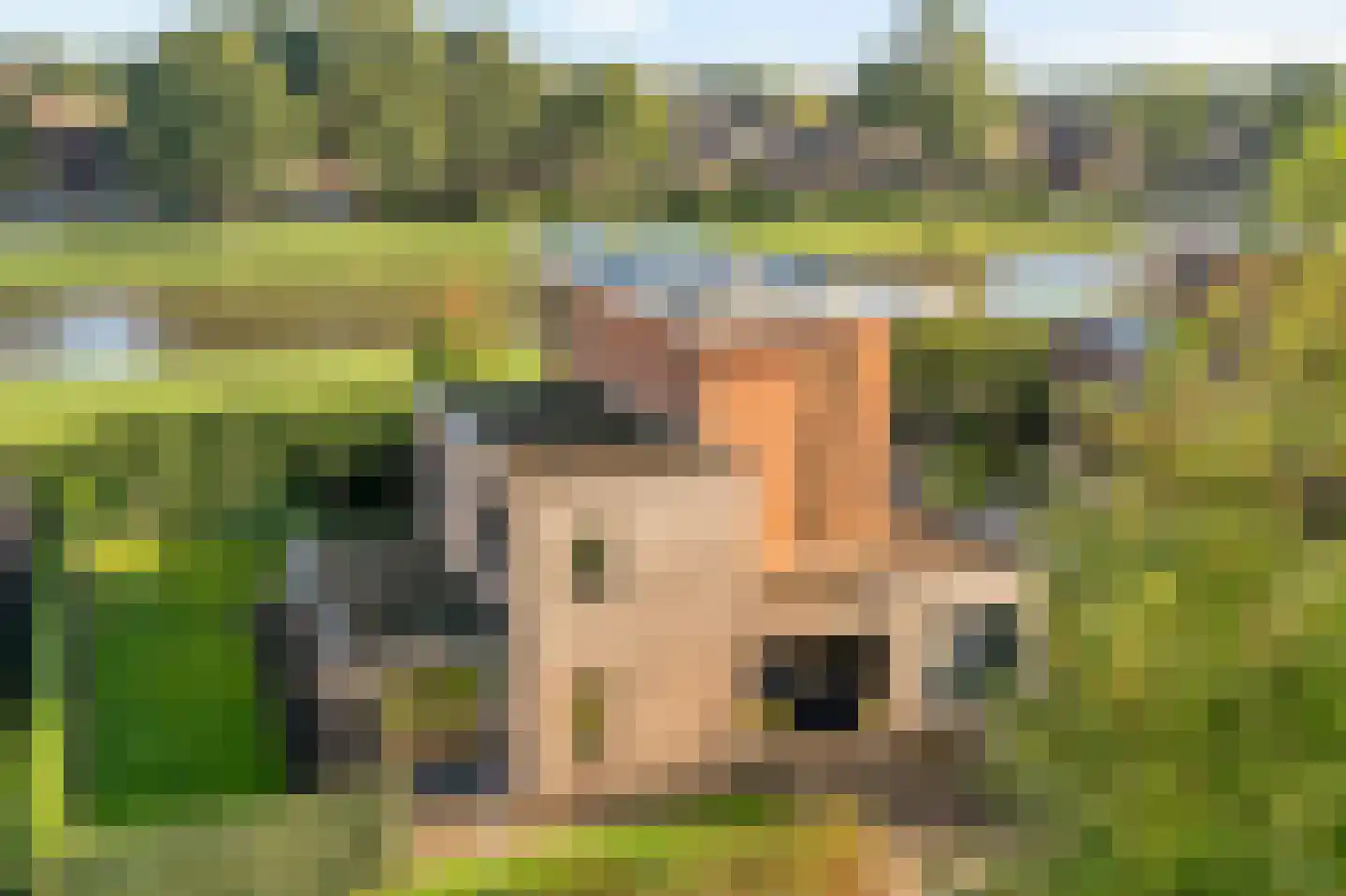 Heivlinder 4 Hoogeveen thumbnail 9