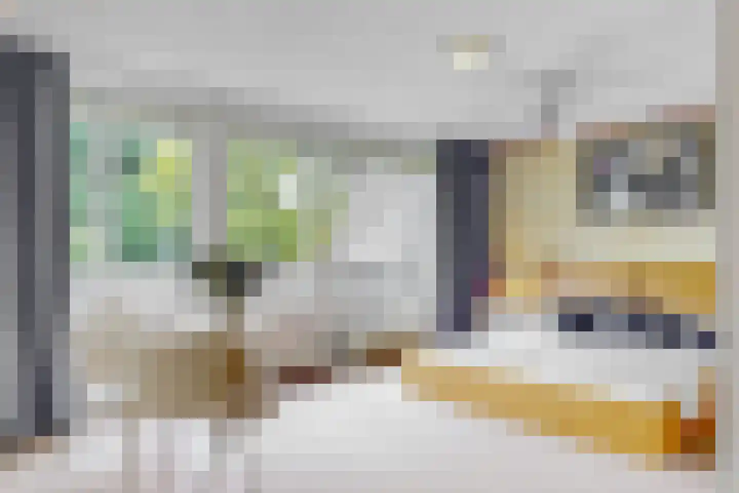 Heivlinder 65 Leiden thumbnail 19