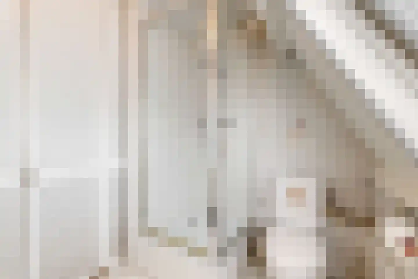 Heivlinder 65 Leiden thumbnail 39