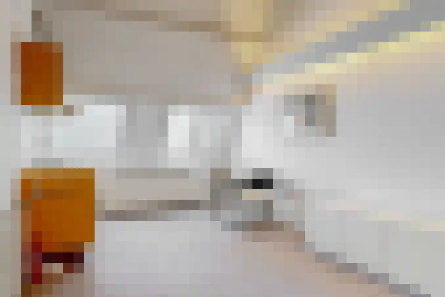 Heivlinder 65 Leiden thumbnail 40