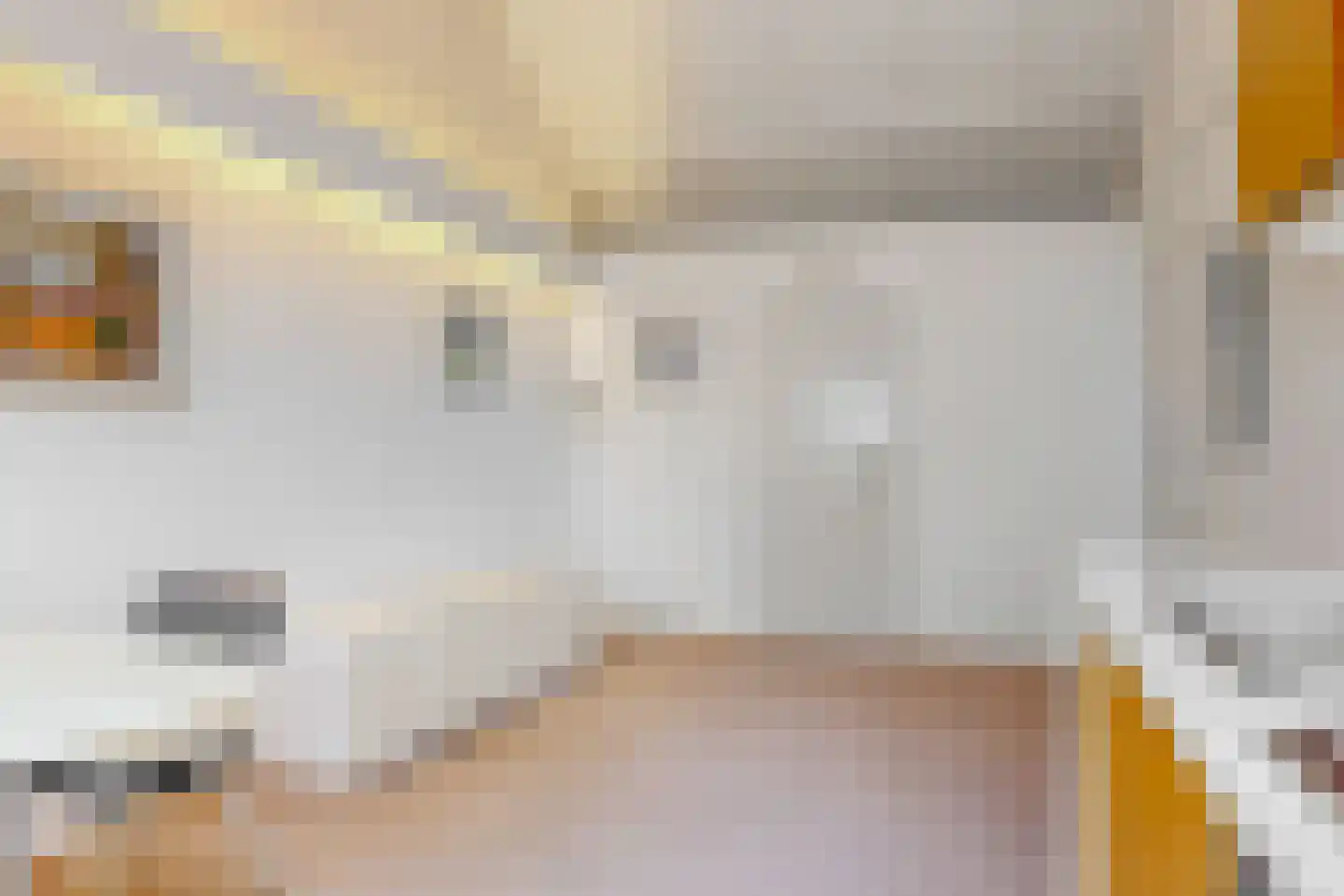 Heivlinder 65 Leiden thumbnail 43