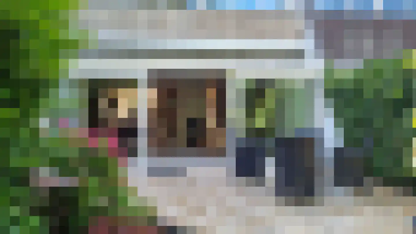 Heivlinder 65 Leiden thumbnail 46