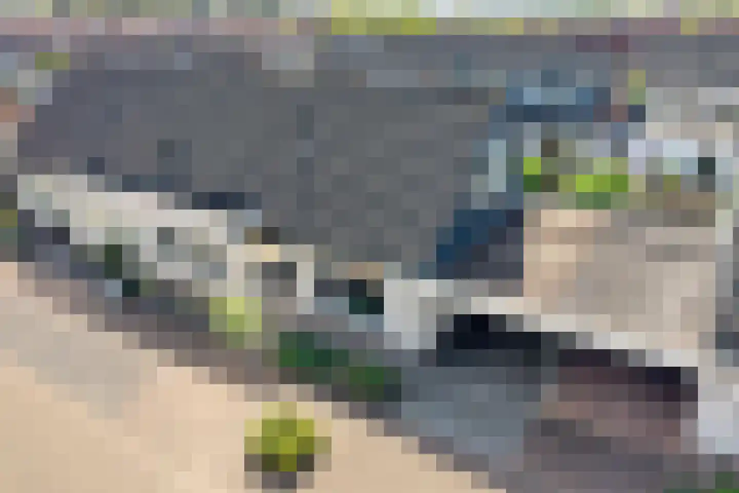Heivlinder 7 Zwolle thumbnail 4