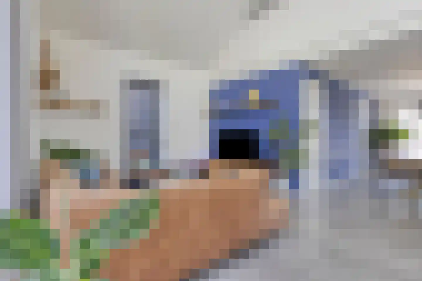 Heivlinder 8 Mierlo thumbnail 14