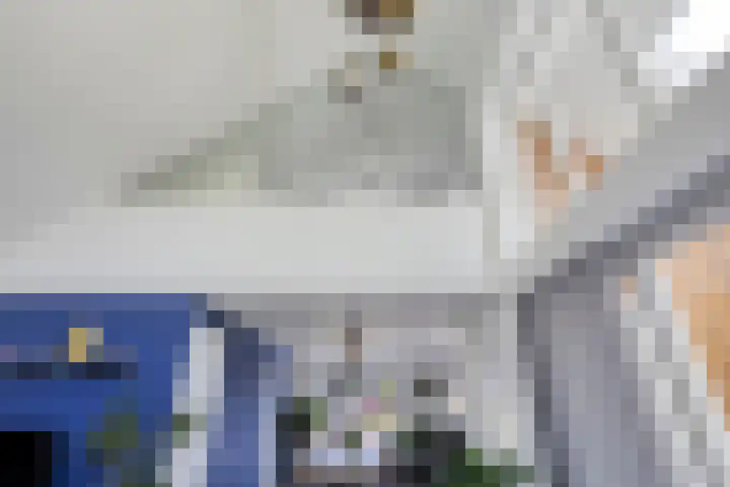 Heivlinder 8 Mierlo thumbnail 18