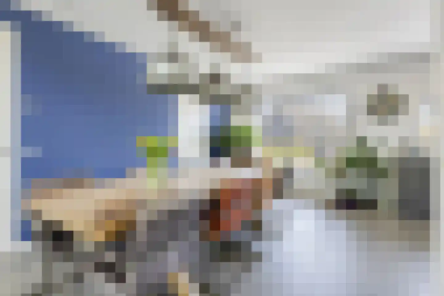 Heivlinder 8 Mierlo thumbnail 22