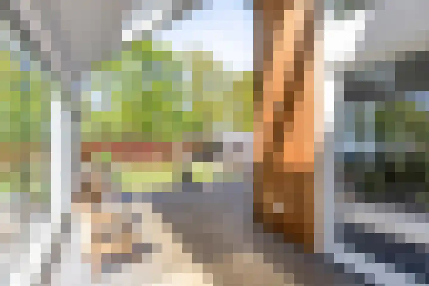 Heivlinder 8 Mierlo thumbnail 28