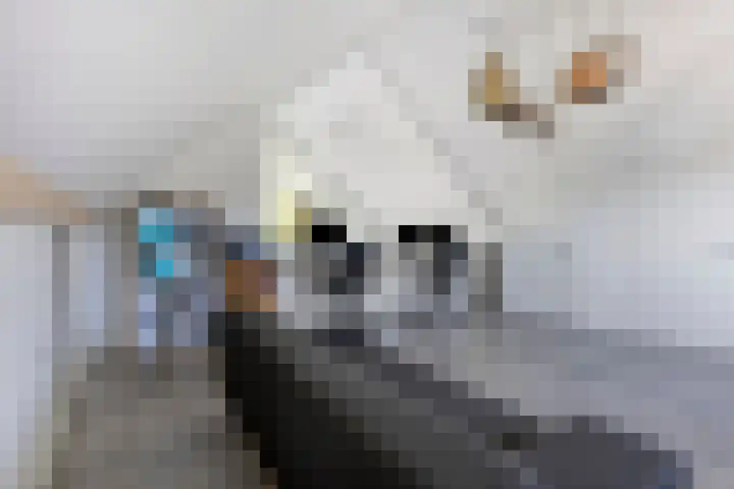 Heivlinder 8 Mierlo thumbnail 33