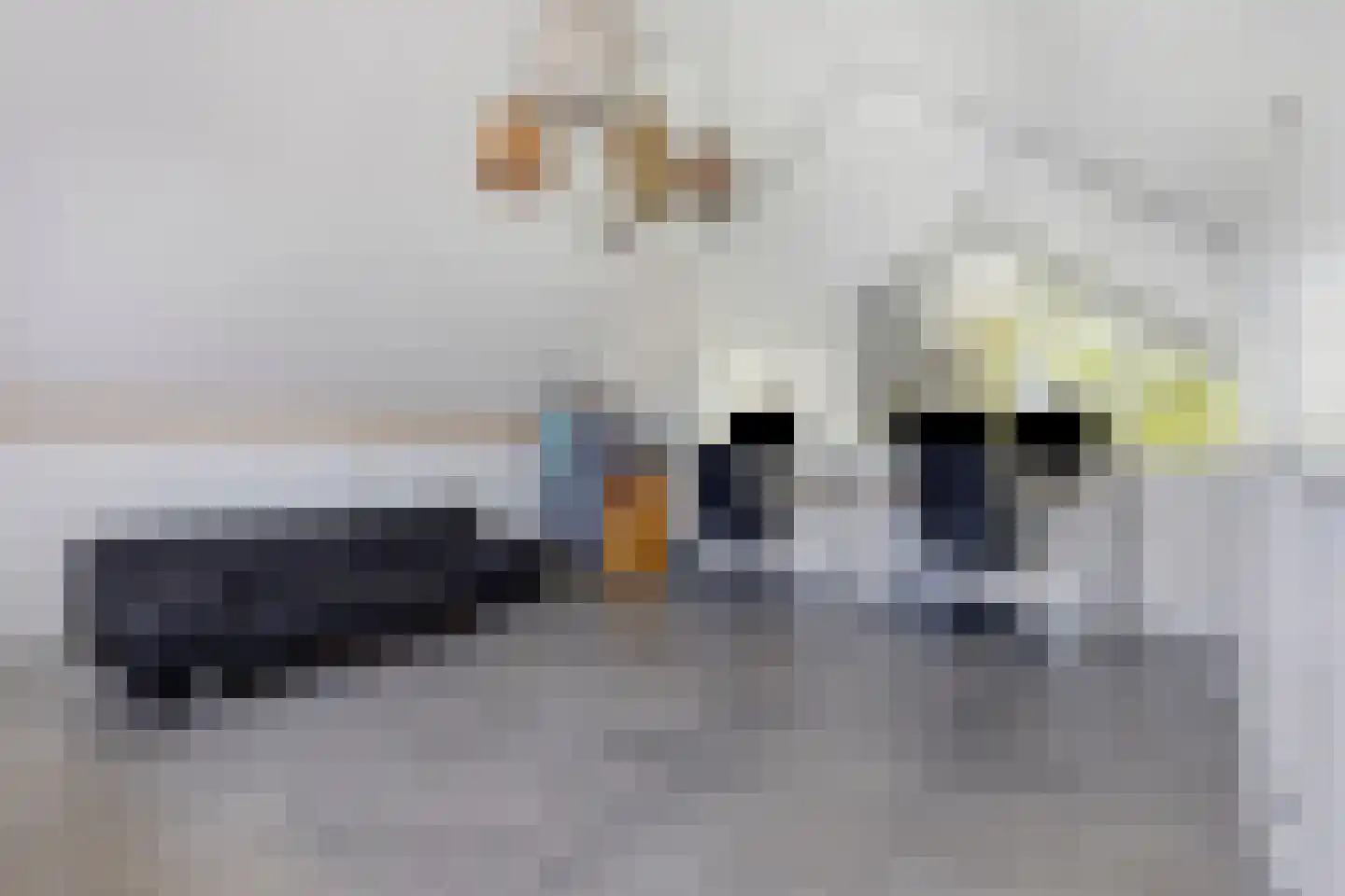 Heivlinder 8 Mierlo thumbnail 34