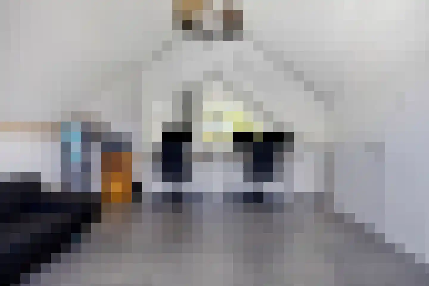 Heivlinder 8 Mierlo thumbnail 35
