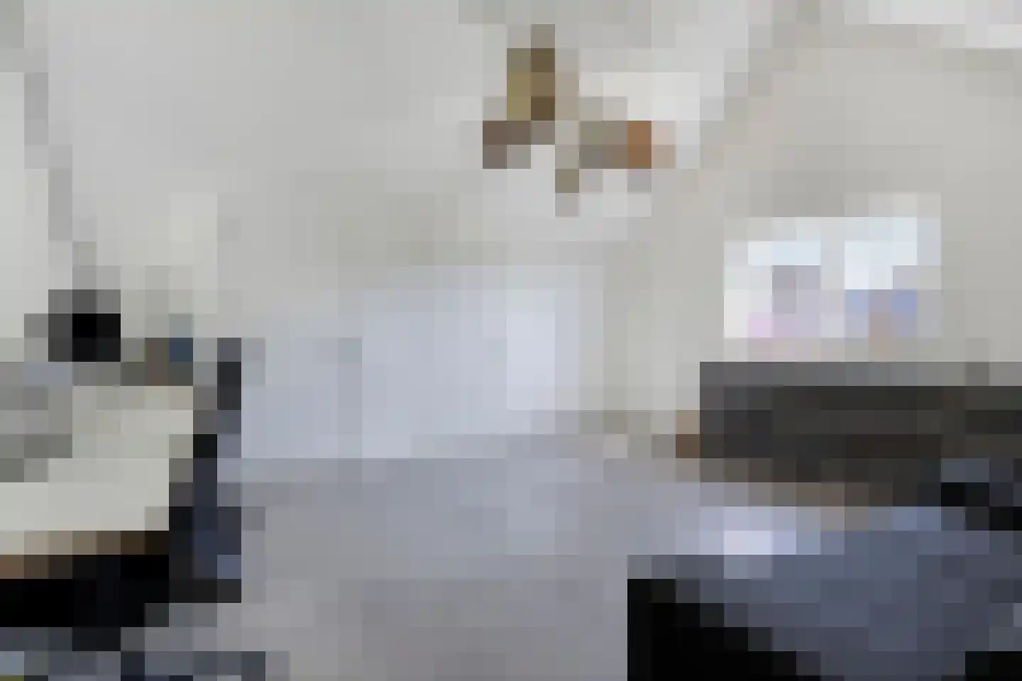 Heivlinder 8 Mierlo thumbnail 36