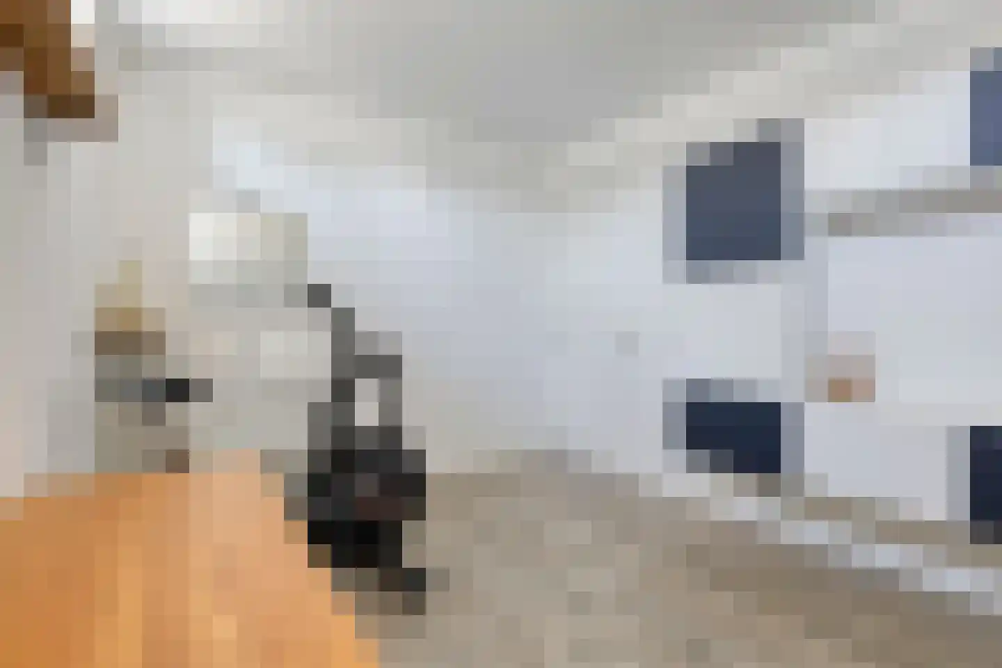 Heivlinder 8 Mierlo thumbnail 52